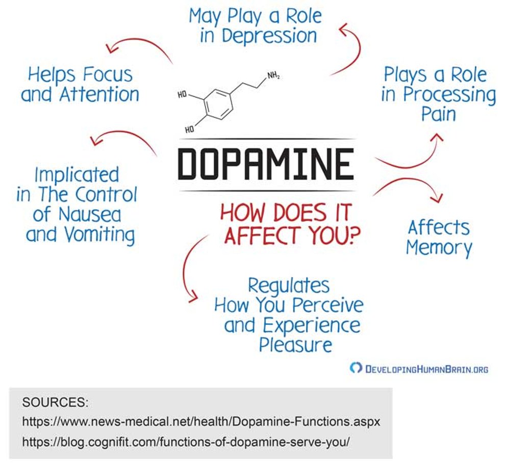 Most people have a dopamine-fried brain that blocks peak performance ...
