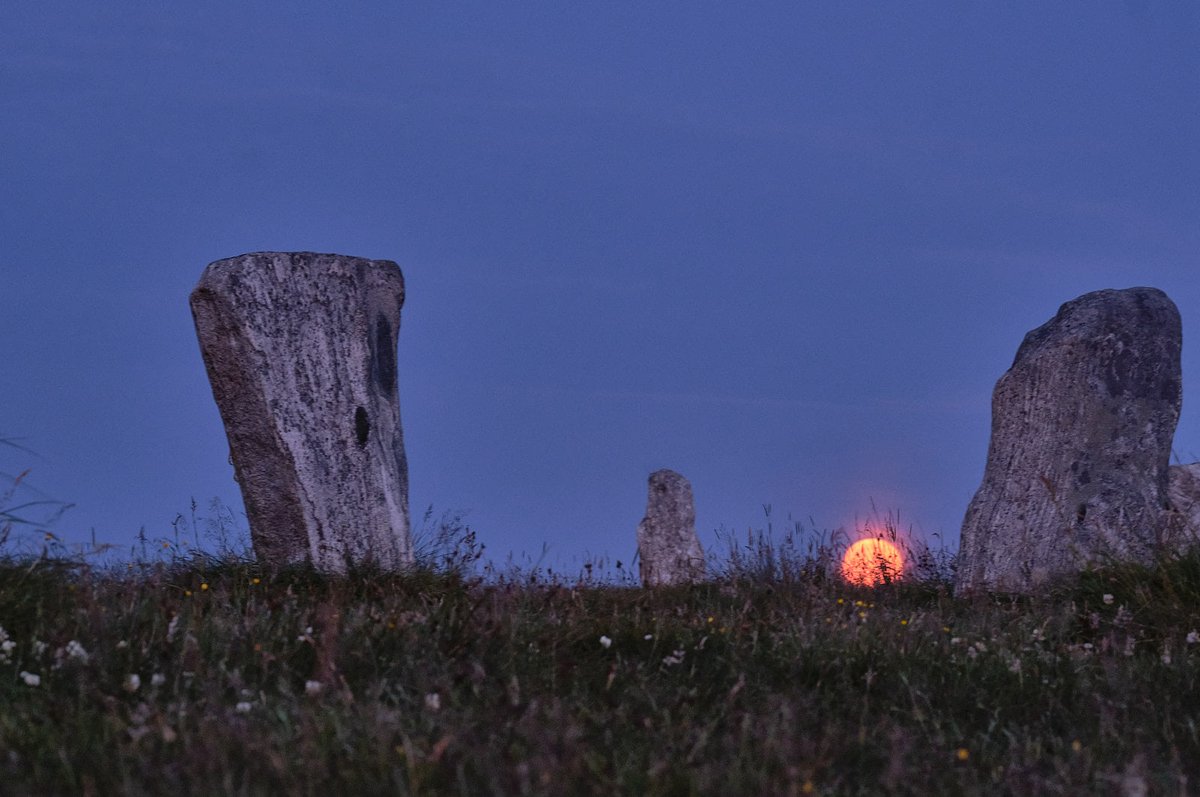 CallanishDigitalDesign tweet media