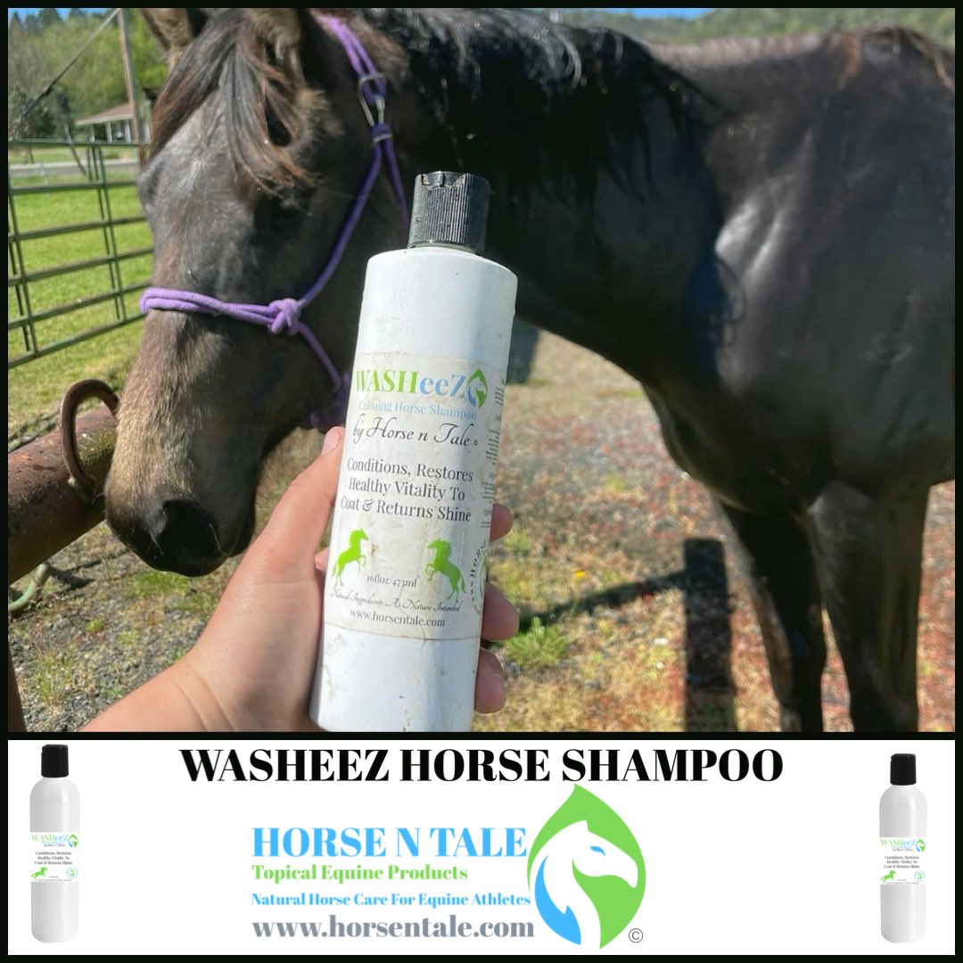 HorsenTale1's tweet photo. Wash Wednesday!
Give your horse the royal treatment with WashEez!
#horsentale #topicalequineproducts #naturalhorsecare
#equine #horse #naturalingredients
#naturalingredients
#WisdomWednesday #Wednesdaywisdom #Wednesday #washeez #shampoo #horseshampoo #washwednesday https://t.co/wlHARyfz70