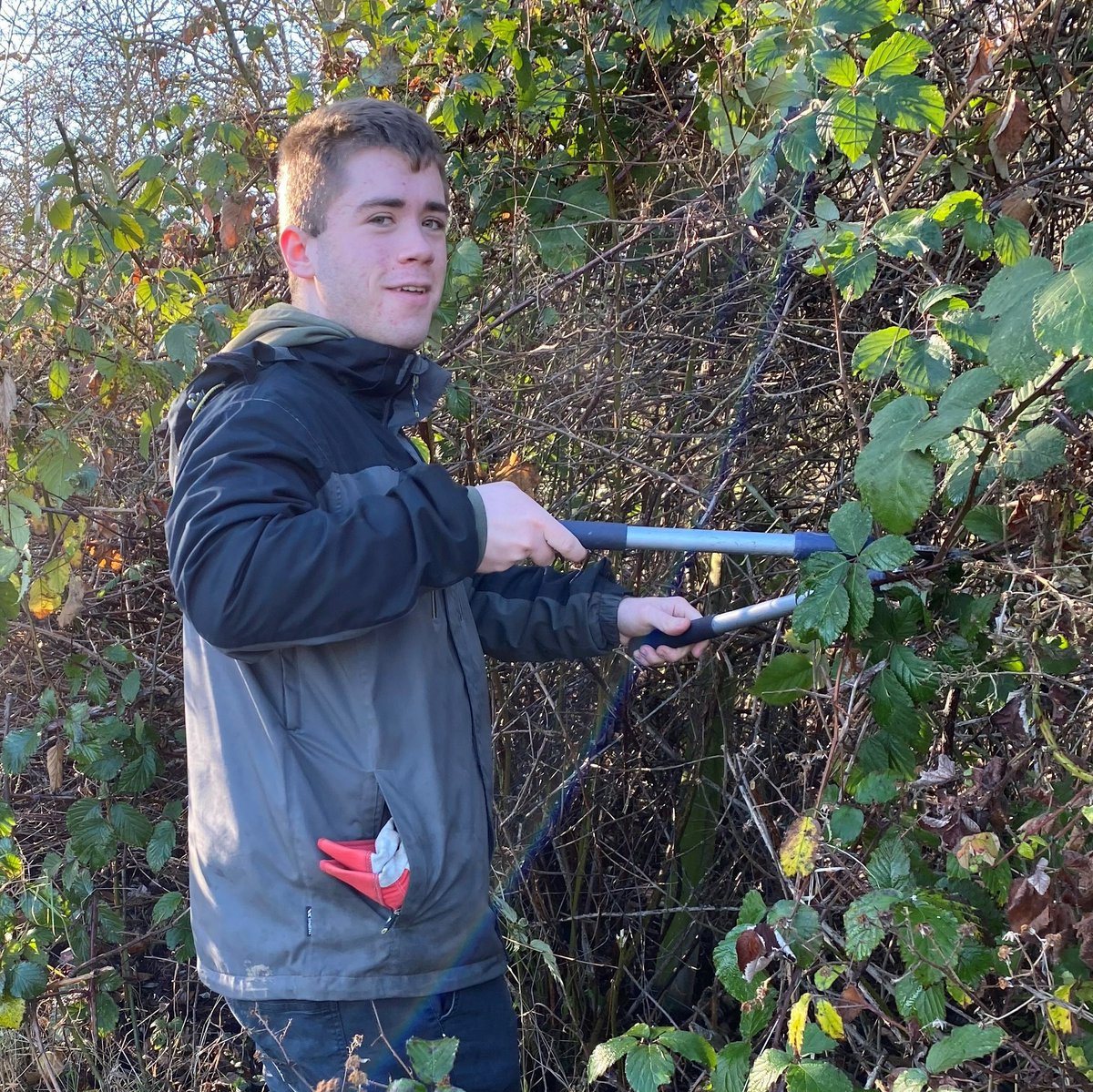 South Yorkshire Community Woodlands tweet media