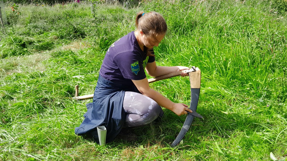 South Yorkshire Community Woodlands tweet media
