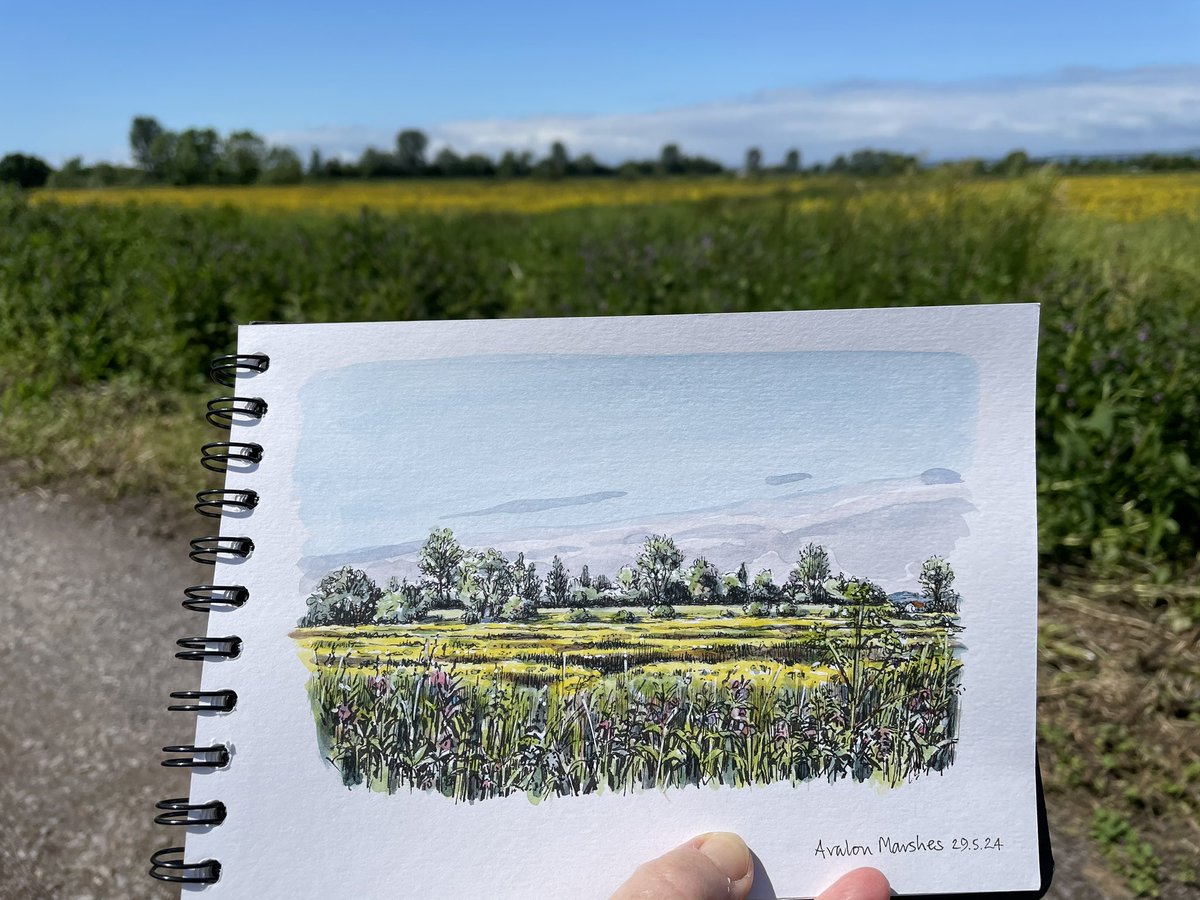 Swallows, cuckoos, egrets…

Avalon Marshes, Somerset Levels. 

Just beautiful!

#sketching #drawing #painting #landscape #somersetlevels #birdlife #rural #buttercups