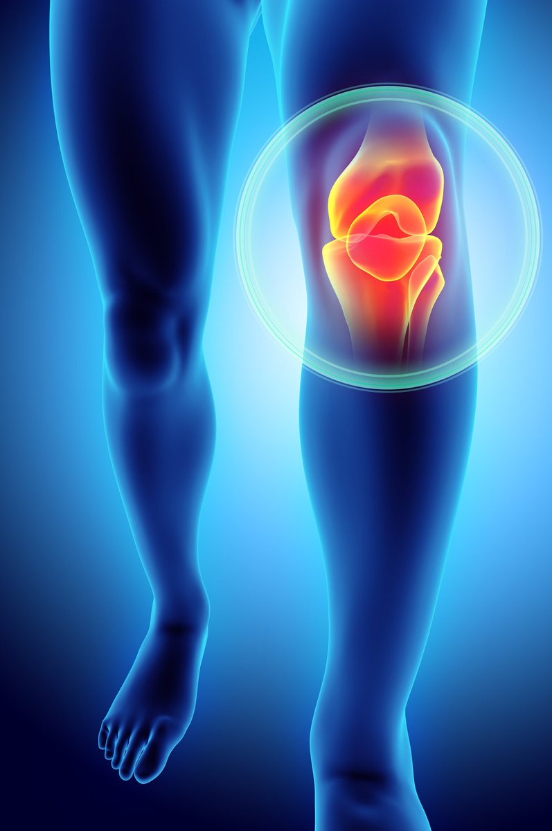 The worst thing you can do for your knee pain is just rest, ice, pain-killers and do absolutely nothing. 

If you want to recover quicker from knee injury then stop just resting and icing...

Here's 3 things you should do instead 🦿▶️🦵 🧵