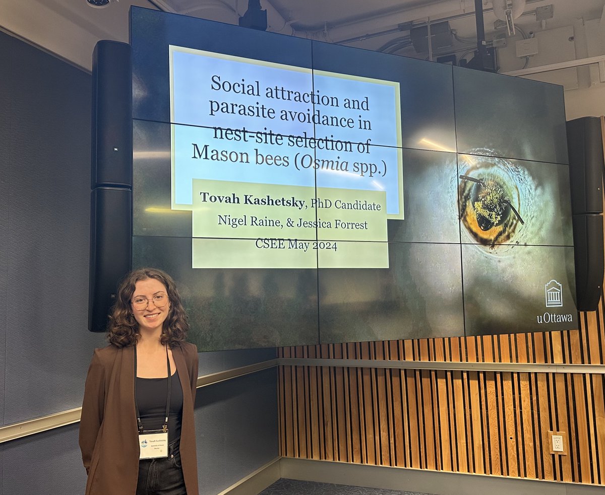 Great that @TovahKashetsky could present her important PhD research on parasite avoidance & nest-site selection in cavity-nesting solitary #bees @CSEE_SCEE @CSEE_Meetings. Great talk, sorry I couldn't 🐝@ #CSEE2024 in person. #Proud #CoSupervisor with Jessica Forrest #Pollinators