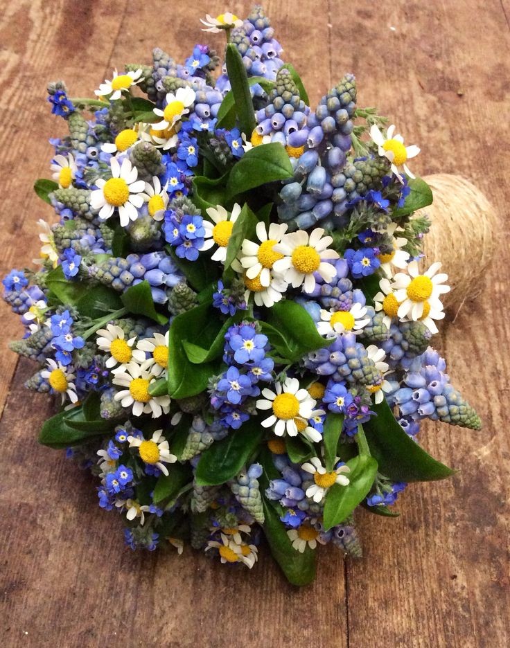 To: @Aziraphim 

From: Anonymous

💐: Sunflowers, baby's breath, and forget me nots

Sorry that you have to hear me yapping all the time dear and that I keep forgetting to do the community centre in stardew ^_^