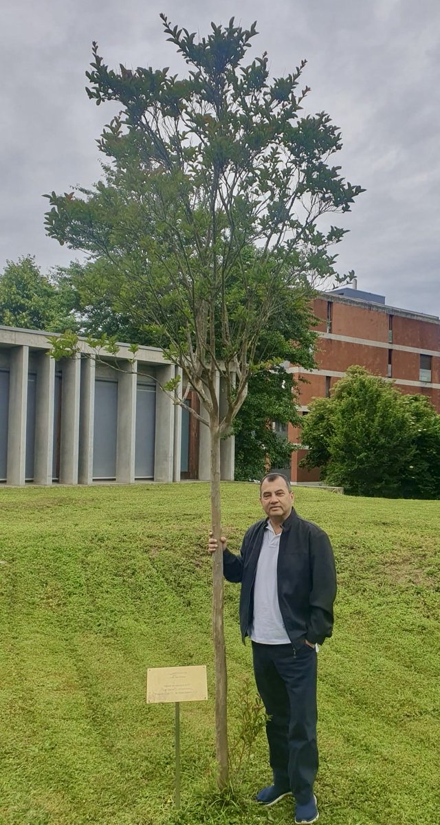 Tree that I planted in grounds of ⁦@IPUparliament⁩ in Geneva Switzerland 🇨🇭 is doing well and with summer round the corner, should shortly be in full bloom!