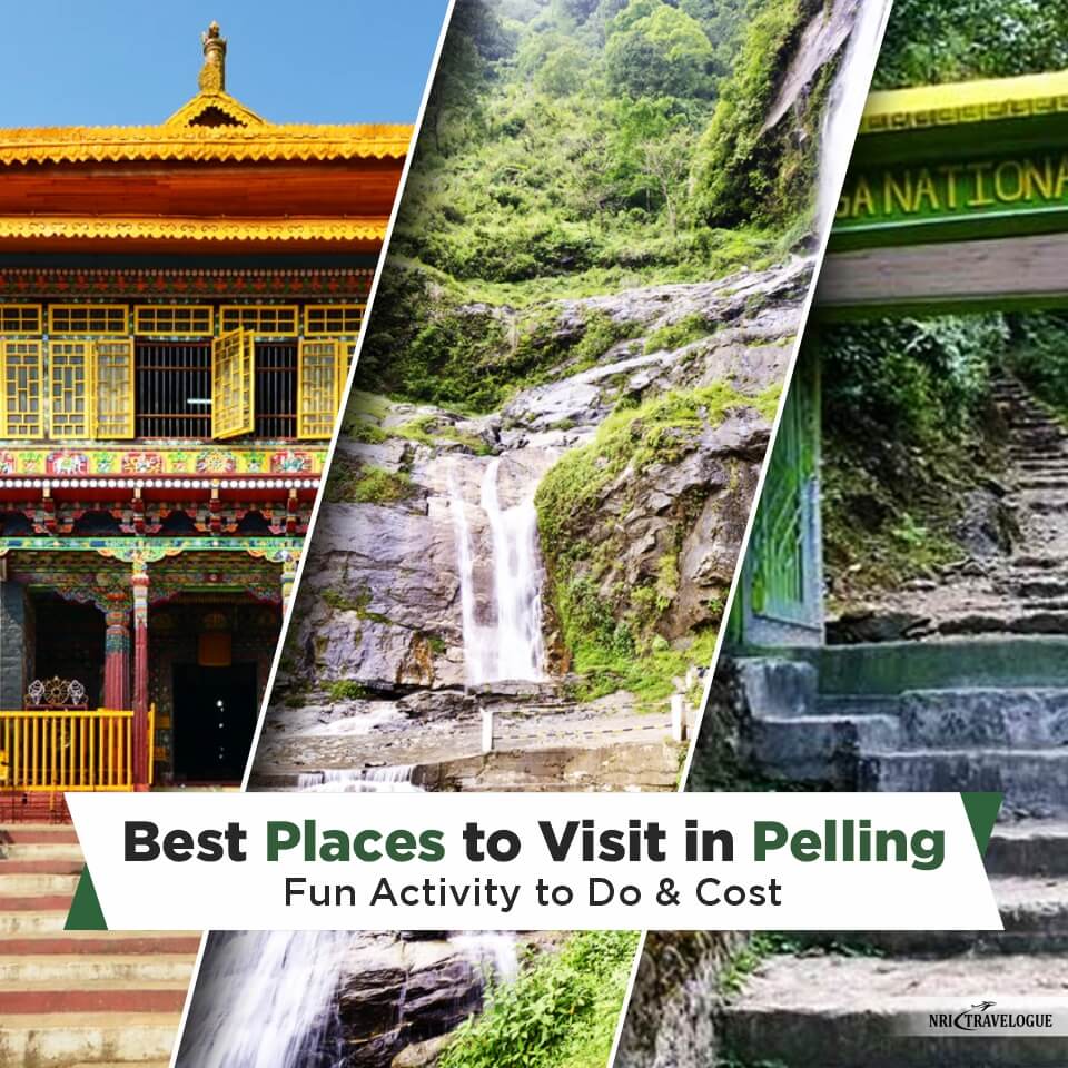 nritravelogue's tweet image. Make your Pelling trip unforgettable! ✨

Wondering where to go &amp;amp; what to do? Our latest blog on NRI Travelogue has you covered!

Discover the best places to visit in Pelling, along with fun activities &amp;amp; how much it costs.

Read Now: nritravelogue.com/asia/discover-…

#Pelling #Sikkim