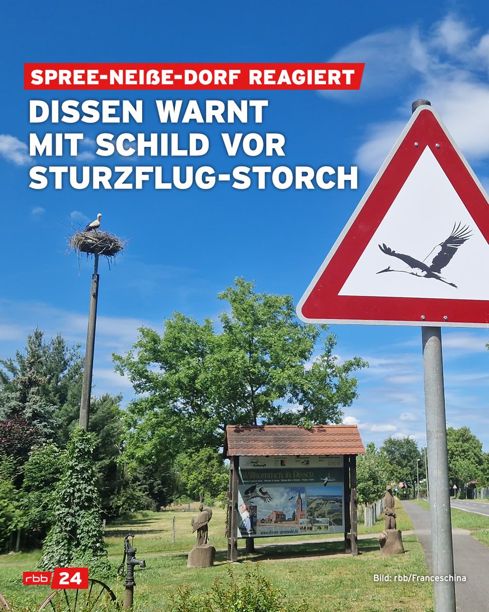 Der Storch namens Schmiedestorch sorgt ab und an für Verkehrschaos im Ort Dissen. Mehrfach ist es bereits vorgekommen, dass er im Sturzflug auf Autos zugeflogen ist und die Fahrer damit gehörig erschreckt hat. Jetzt soll ein Warnschild helfen: rbburl.de/storchschild