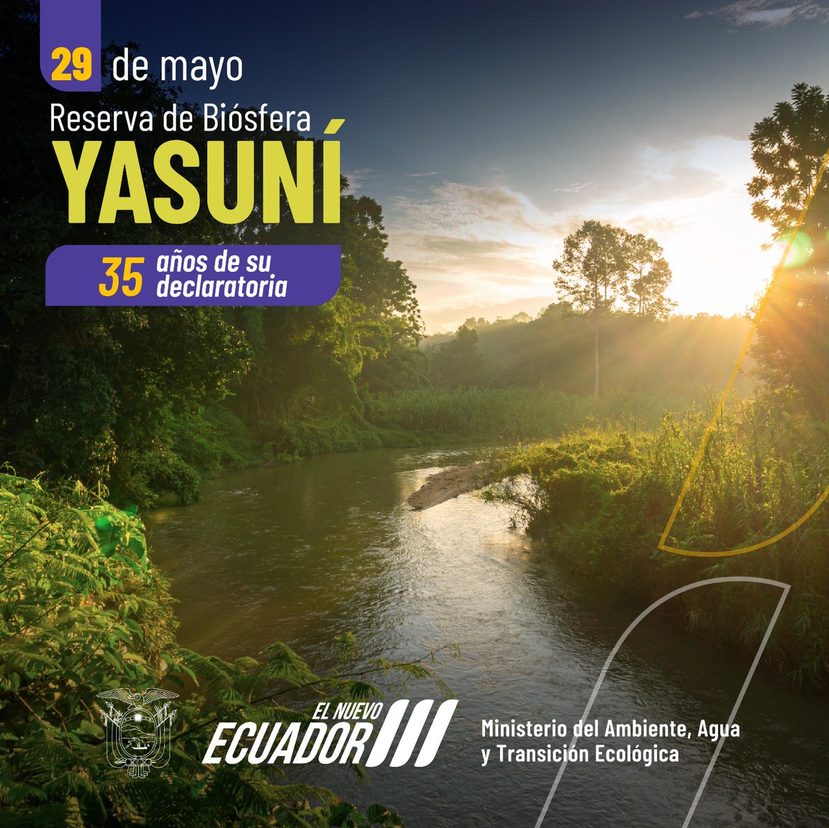 🥳 Hoy conmemoramos 35 años del reconocimiento realizado por la UNESCO del Parque Nacional Yasuní, la Zona Intangible y el adyacente territorio waorani, como Reserva de Biósfera Yasuní.

Este espacio natural alberga más de 4.000 especies de plantas por cada 10.000 km².