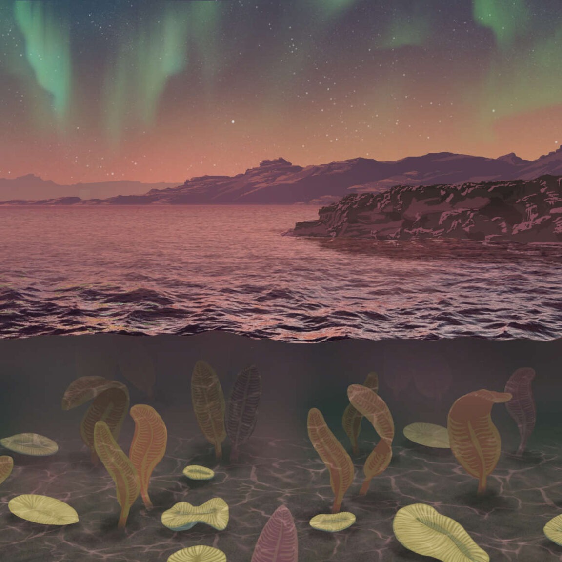 Researchers from the @UofR have found evidence that during the Ediacaran Period (635-541 million years ago), Earth's magnetic field was unusually weak, contributing to increased oxygen levels, which facilitated the proliferation of complex life forms. aau.edu/research-schol…