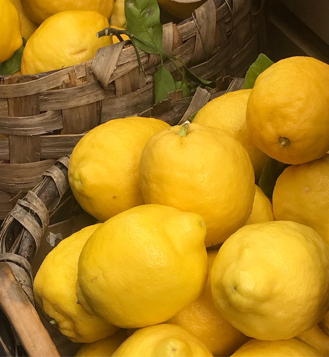 Sun-blessed Sorrento. A jasmine-scented world of lemons, ice cream and umbrella pine trees… Views across the Bay of Naples, meandering down the cobbled streets, drinks at the Fauno Bar… a special place that keeps drawing me back, so many happy memories… 🍋 🍦 🍊