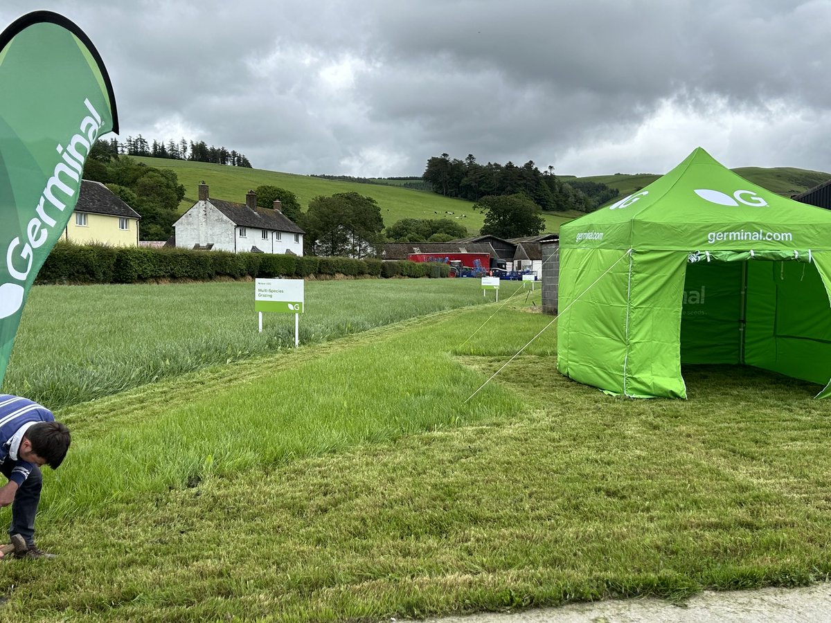 Preparation for tomorrow’s ⁦<a href="/RWASgrass/">Royal Welsh Grassland Event</a>⁩ event. Not raining for a start and grass looking good. Come and see Germinal to discuss sustainable grassland production
