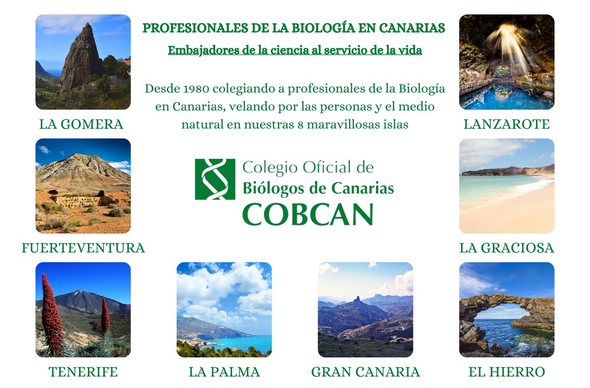 cobcan_info's tweet photo. Celebramos el día de Canarias, ocho islas maravillosas.
La Junta de Gobierno y el personal del COBCAN le felicitamos de todo corazón en este, nuestro día.
Acceder al Banco de Datos de Biodiversidad de Canarias: https://t.co/wSL4AlBb1f
#canarias #8islas #maravillosas #cobcan https://t.co/nfqiMhVtWS