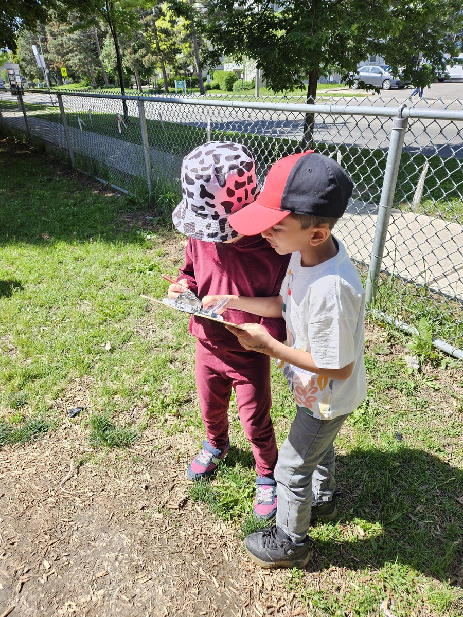 MsMui1's tweet photo. Exploring outdoors today #outdooreducation #scavengerhunt #steamoutdoors #nature #partners @TDSBForestManor https://t.co/8ydv2Gqq6l