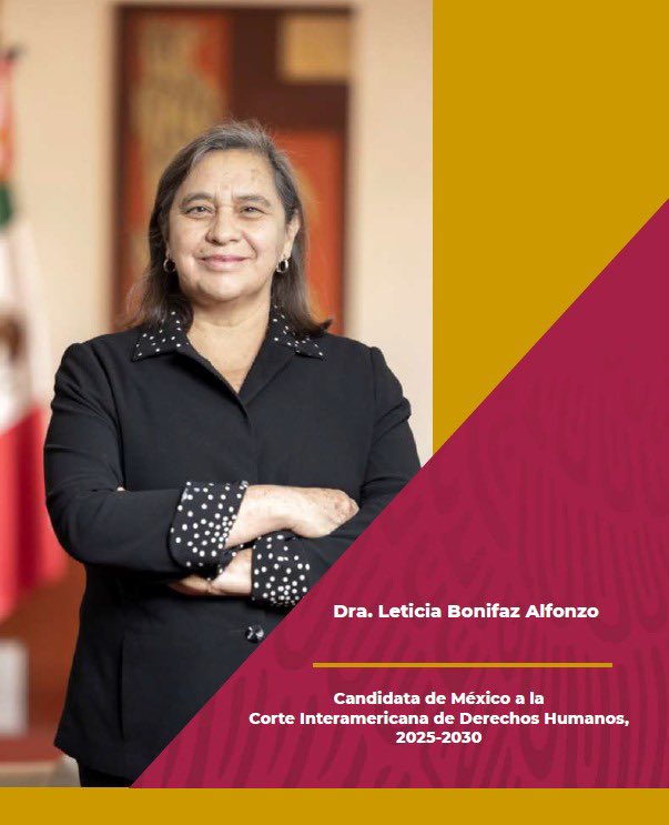 La Dra. <a href="/leticia_bonifaz/">Leticia Bonifaz</a>, candidata de México 🇲🇽 a jueza de la <a href="/CorteIDH/">Corte Interamericana de Derechos Humanos</a>, presentó en <a href="/CP_OEA/">Consejo Permanente - OEA / OAS - Permanent Council</a> su candidatura a dicho órgano jurisdiccional interamericano. Destaca su amplia trayectoria profesional, experiencia académica, técnica jurídica y su firme compromiso con los DDHH.