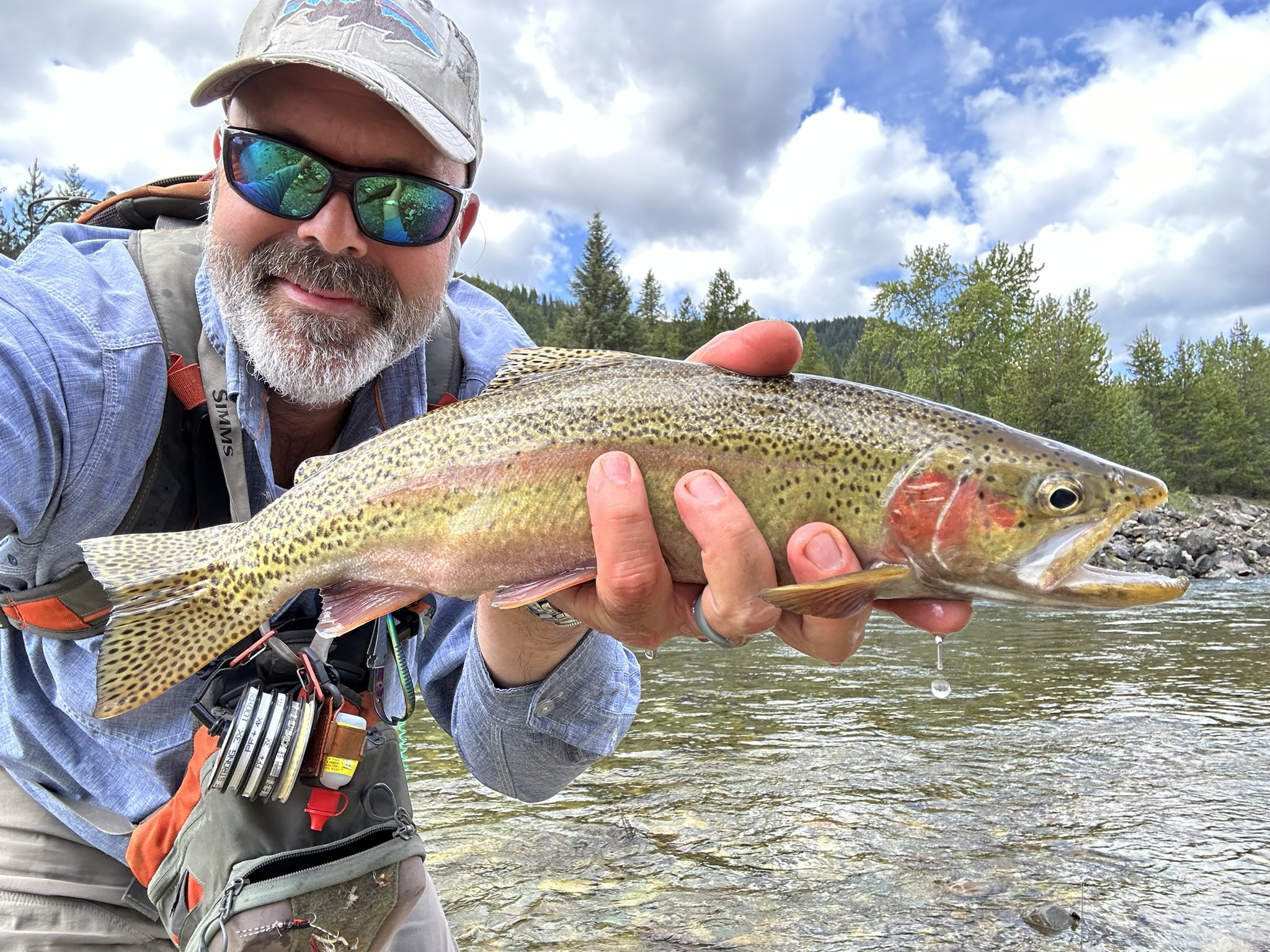 Ryan Busse on X: “Had a couple hours between campaign work, and 