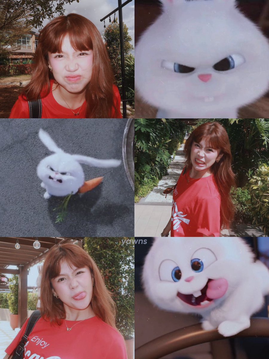 snowball maloi ₍⑅ᐢ..ᐢ₎
