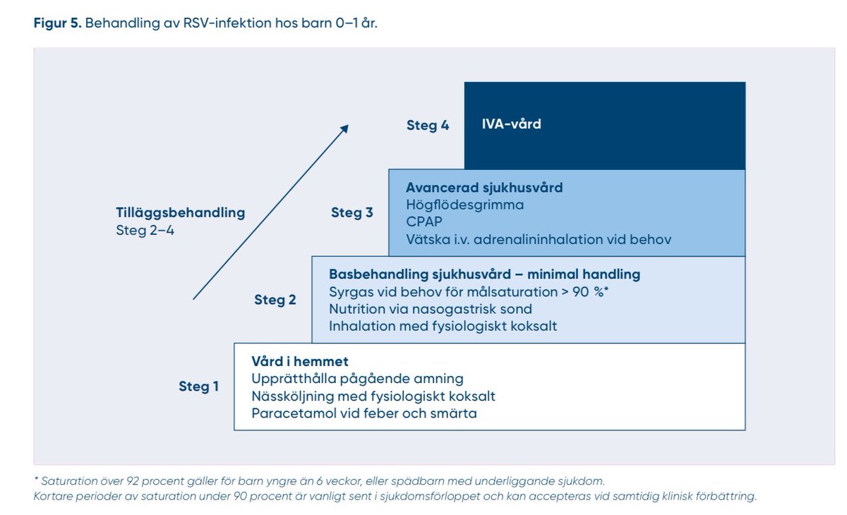 Samuel Arthur Rhedin (@rhedinsamuel) on Twitter photo Den nya behandlingstrappan för #RSV.
Fler barn bör vårdas enligt ”minimal handling” strategi och undvika behandlingar utan evidens. <a href="/LV_MPA/">Läkemedelsverket</a> <a href="/sv_barninf/">Svensk barninfektionsförening</a> #svmed Den nya behandlingstrappan för #RSV.
Fler barn bör vårdas enligt ”minimal handling” strategi och undvika behandlingar utan evidens. <a href="/LV_MPA/">Läkemedelsverket</a> <a href="/sv_barninf/">Svensk barninfektionsförening</a> #svmed