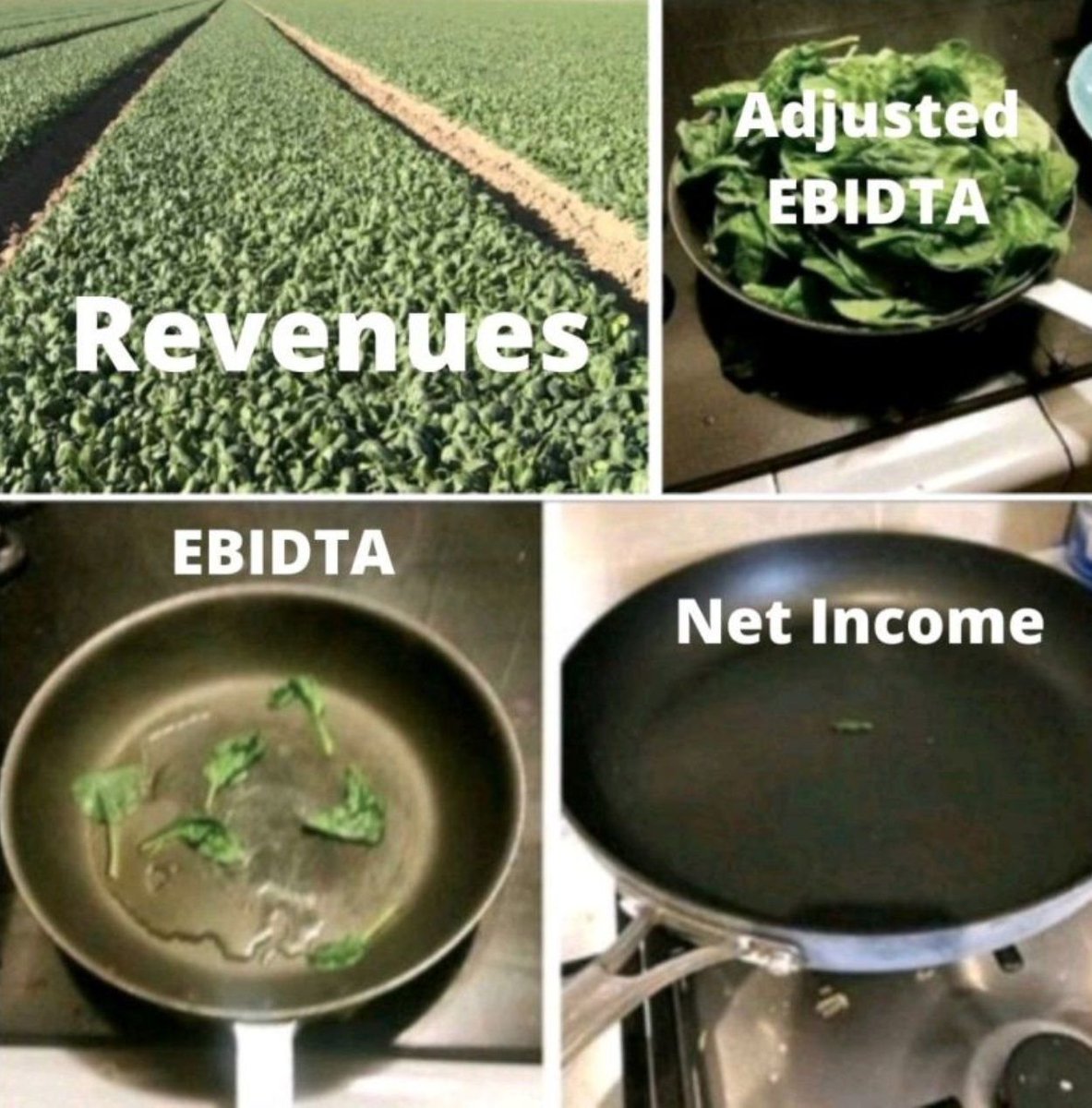 Revenue versus Net Income: