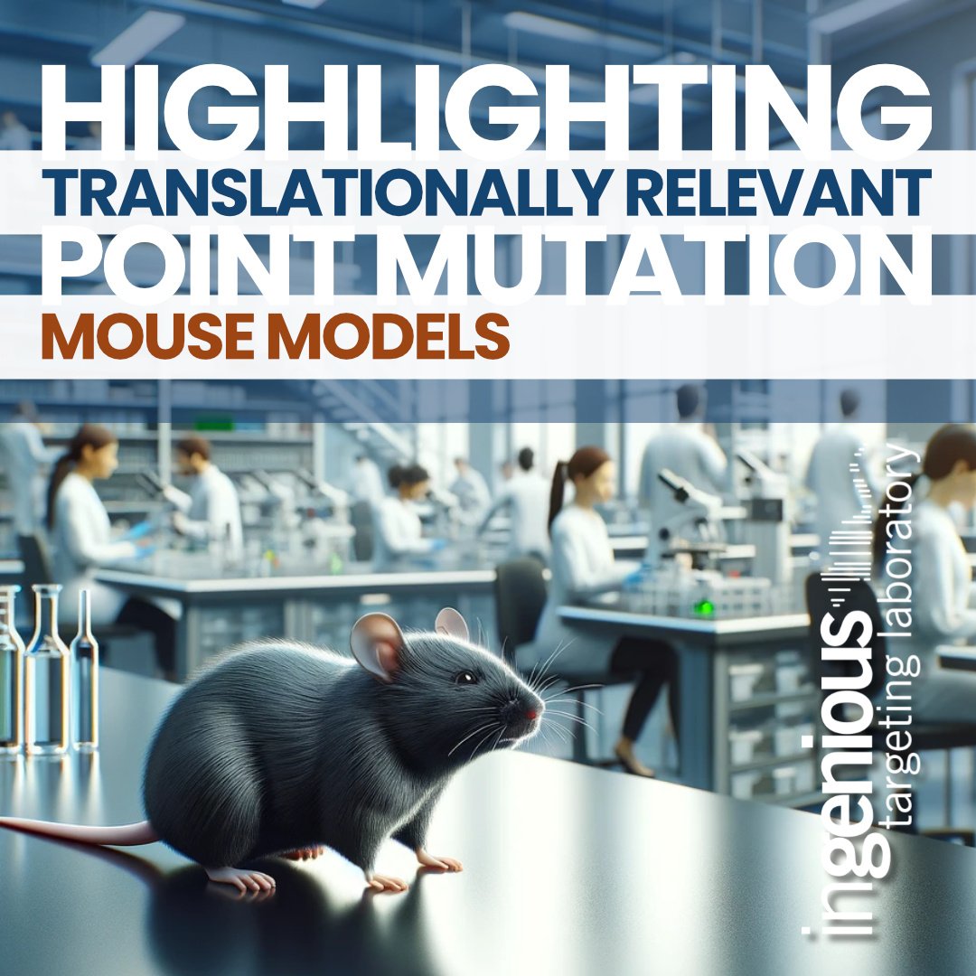 Our point mutation mouse models are pivotal in preclinical drug discovery. Read more about our Coq2A252V model and its impact on CoQ deficiency syndrome. LINK:hubs.la/Q02yQRmF0  #translationalscience #mousemodels #genetargeting #drugdiscovery