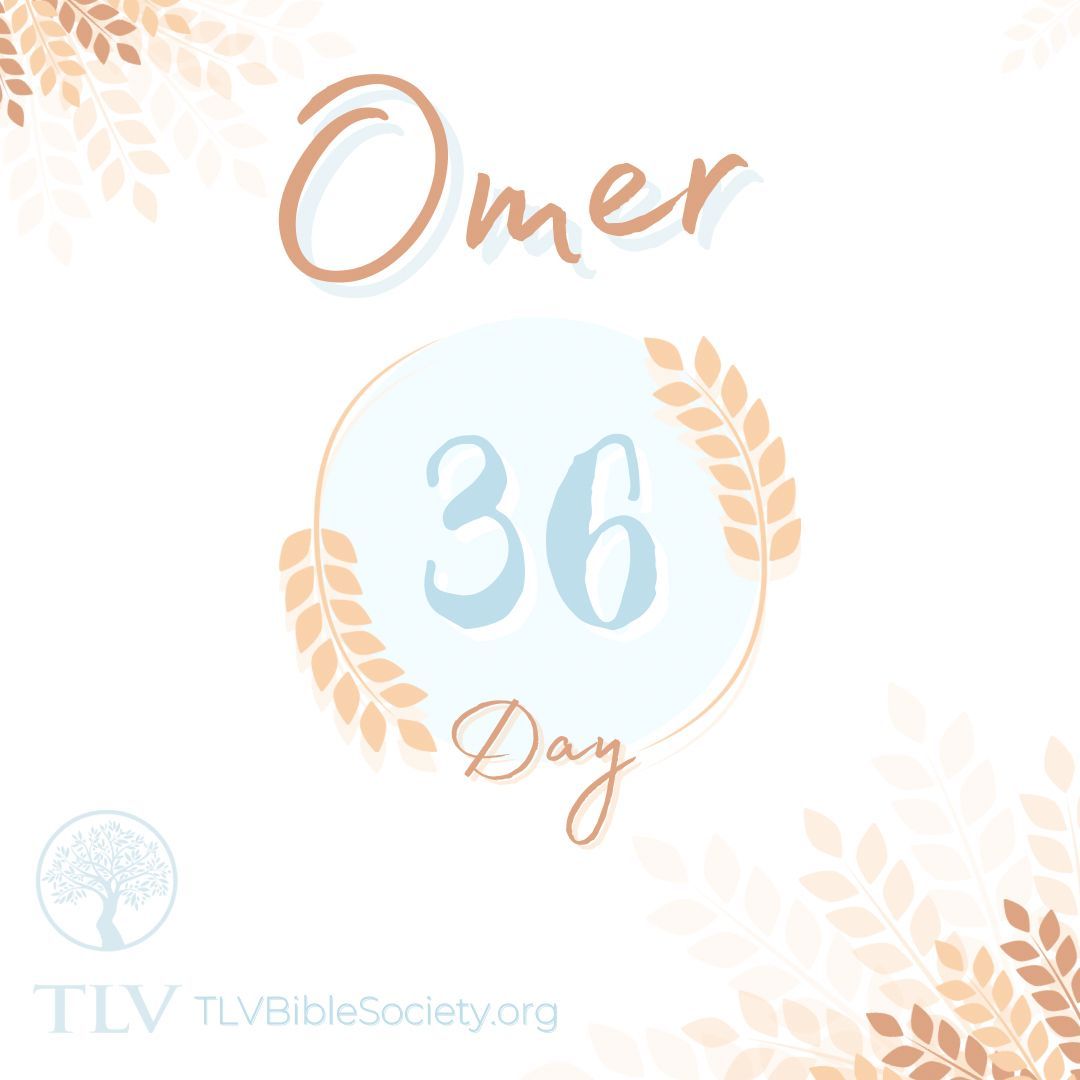 TLVBibleSociety's tweet photo. Day 36 of counting the Omer! ๐พ๐๏ธ
Follow along on our Bible App โก๏ธ https://t.co/JvWVmLuURb
๐link-in-bio
#counttheomer #omer #count #passover #matzah #shavuot #holyspirit #holyspiritcome #countdown #tlv #tlvbible #shalom https://t.co/kx18vc40sG