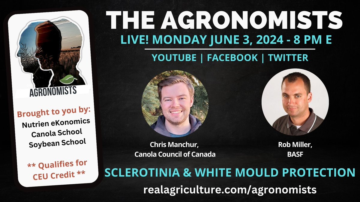 Tune in to #TheAgronomists LIVE on Monday, June 3 at 8 pm E for a discussion on sclerotinia and white mould protection w/ @ManchurCCC w/ the @CanolaCouncil & @RobMillerAg w/ @BASFAgSolutions #cdnag #westcdnag #ontag