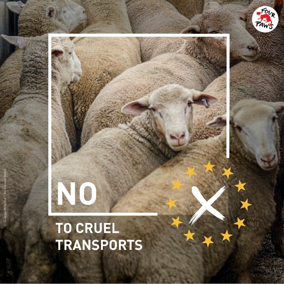 Many people think animal welfare standards for farm animals in the EU are high. This is not the case: Animals 🐑🐔🐖 born in the EU endure incredible agony 🚨 #DoBetterForAnimals and sign our pledge ➡️ brnw.ch/21wKfp5