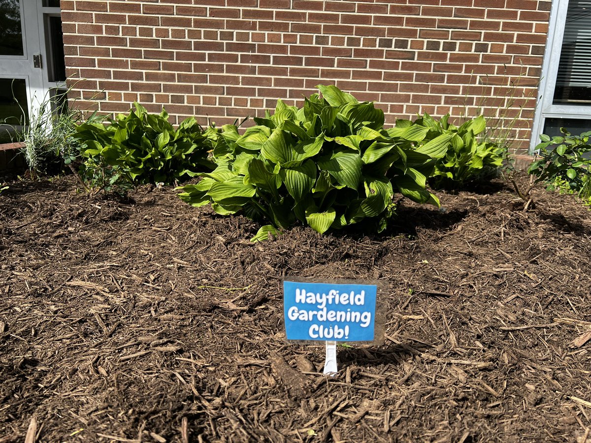 Hayfield Gardening Club tweet media