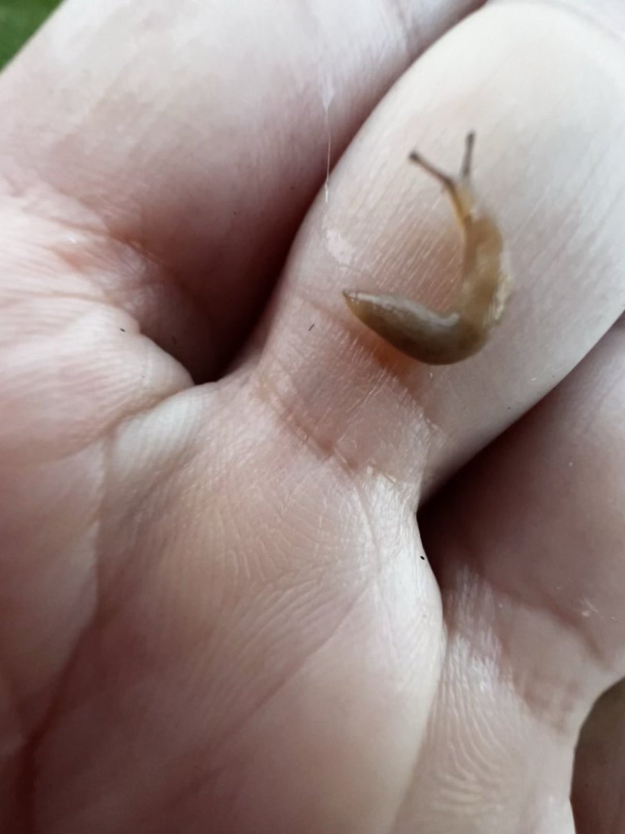 Hayfield Gardening Club tweet media