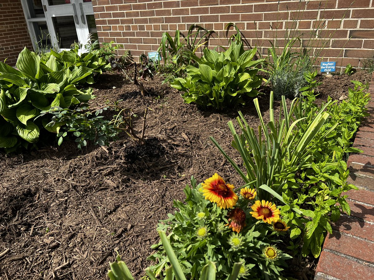 Hayfield Gardening Club tweet media