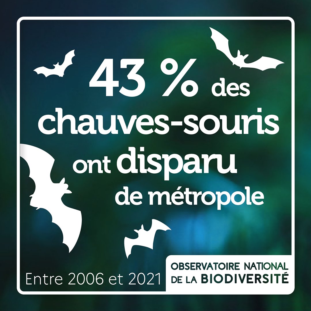 🦇 Cette tendance est à considérer comme un ordre de grandeur, indiquant que les effectifs ont subi une baisse de l’ordre de 43 % en quinze ans (depuis le démarrage du suivi)

👉 Pour + d'infos : naturefrance.fr/indicateurs/ev…
