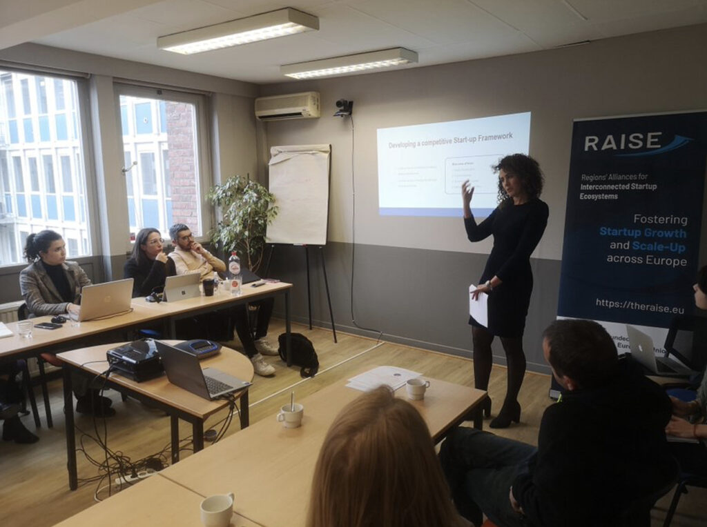 🌟The #RAISE Project organized co-creation sessions and experience exchanges to foster insights and practical solutions, aiming to improve #business models and partnerships in the European #startup ecosystem.📊

👁‍🗨Learn more: theraise.eu/raise-news/rai…

#OpenAccess #Europe #SME #USA