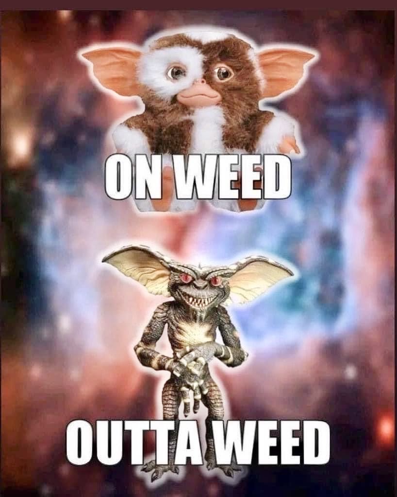 travisa850's tweet photo. This you? https://t.co/bny1VAG2OD