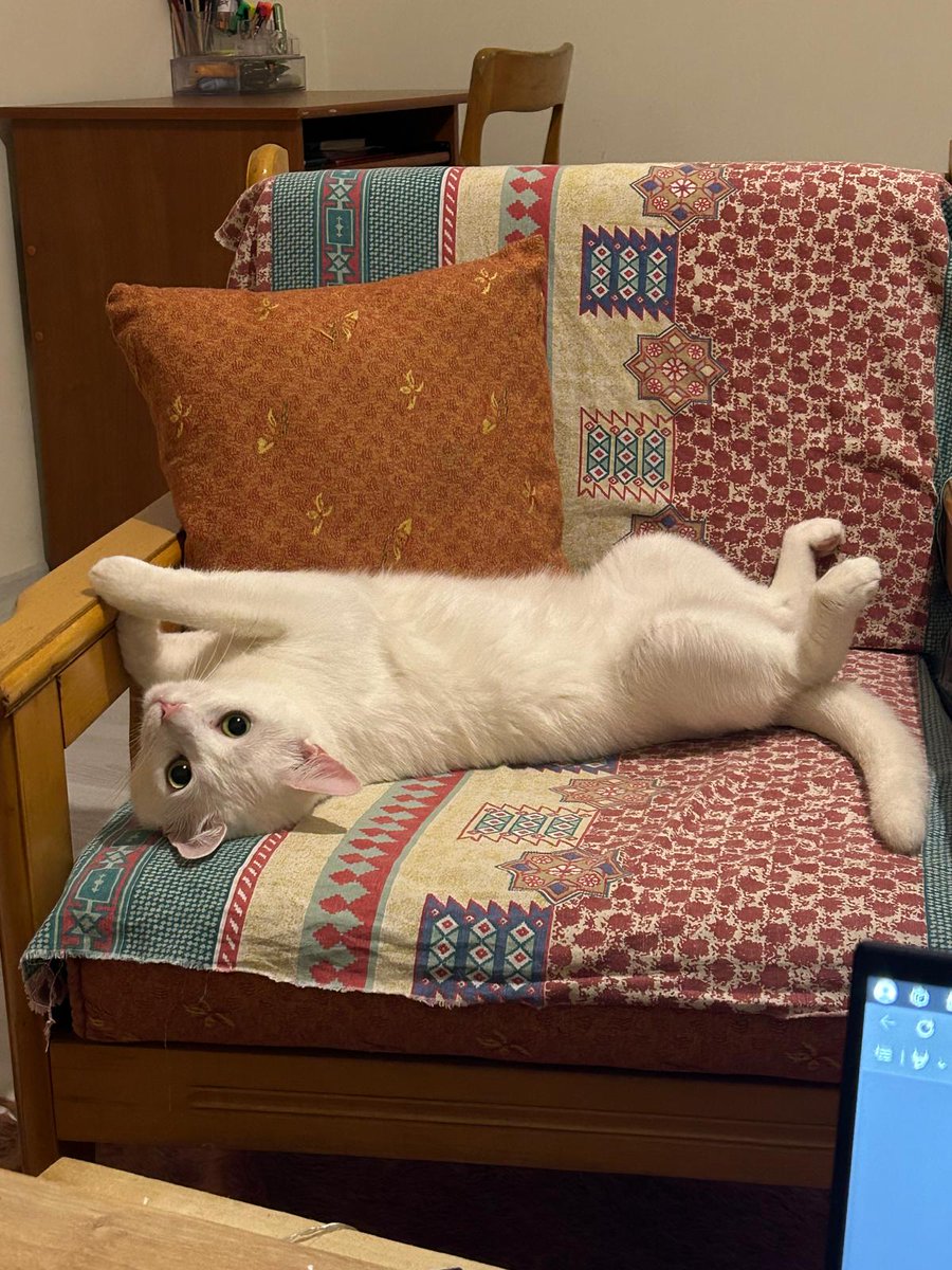 Sütlaç'ın göbüşe güneş pozisyonu