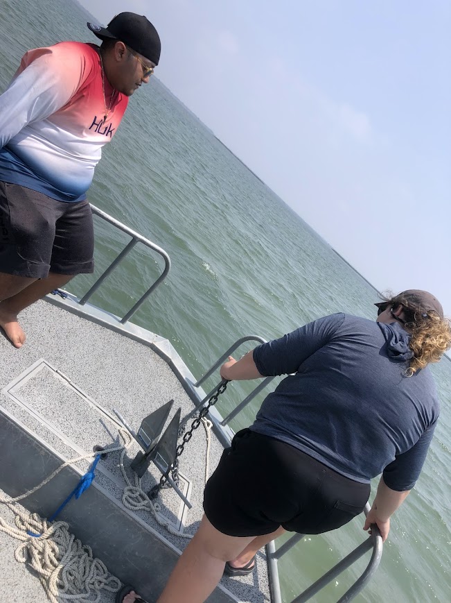 movecology's tweet image. Last week our team deployed 12 acoustic receiver stations to start tracking the movements of juvenile elasmobranchs (e.g. sharks and rays) in Texas estuaries #trackingnotslacking #research