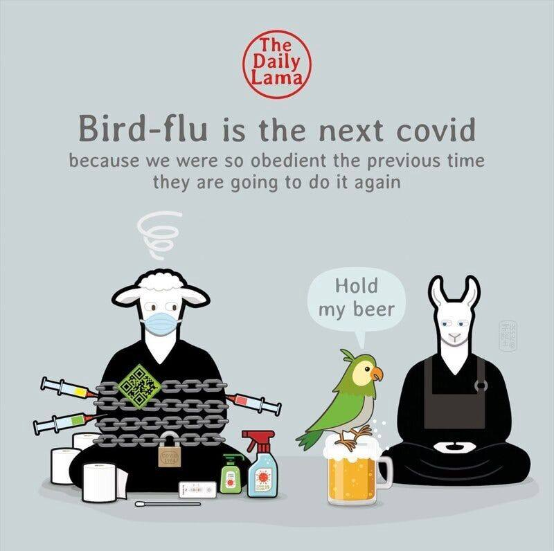 Whoever did this has got it 100% correct, Bird Flu is Project Fear rinse and repeat of the Covid scamdemic complete with dodgy potentially noxious vaccine to push on the sleeping ones who took every Covid jab and Booster.