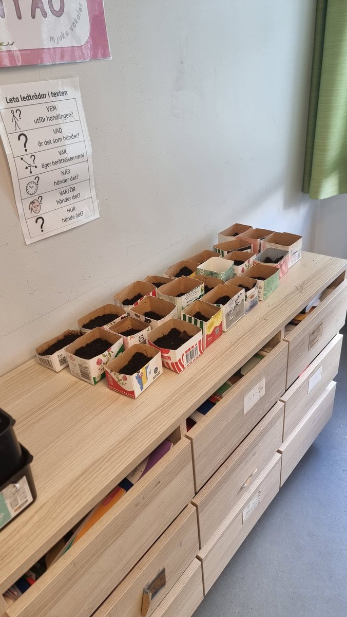 Idag har årskurs 4 planterat bönor i mjölkkartonger. Vi har avslutat arbetsområde "Den levande planeten - växter"
#Gårdstensskolan 
<a href="/JerlhaAnna/">Anna-KristinaJerlhag</a>