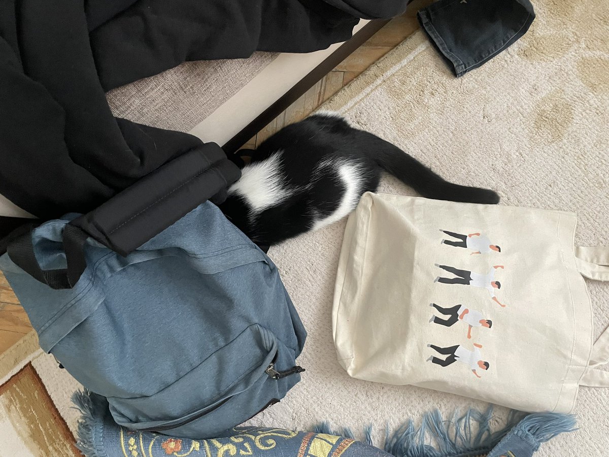 görünmediğini sanıyo ve gelene geçene pati atmak için bekliyo ahskwjdlwks