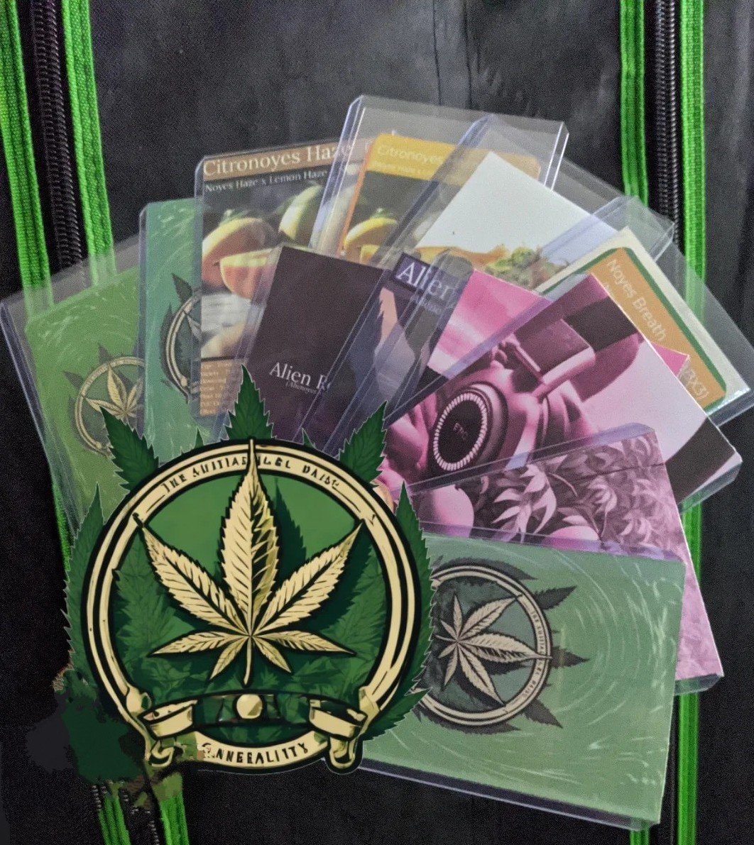 The_Noyes_Boys's tweet photo. S.T.R.A.I.N.C.A.R.D.S
Get your limited edition collector cards, with each and every order!
Flowering time ✅
Height ✅
Parent strains ✅
Art ✅
And more ✅
#cannabiscommunity #artcards #art #cards #tradingcards #genetics #growmies #weedcard #cannabeast https://t.co/GpHvKR4WN0