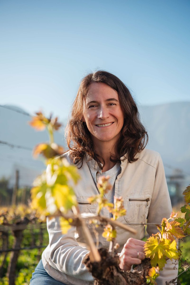 Congratulations to Emily Faulconer, Technical Director at Viñedos Familia Chadwick who has been named Chile’s best young winemaker in @timatkin Chile 2024 Special Report! @SenaWinery @VinedoChadwick #WhatsHatching