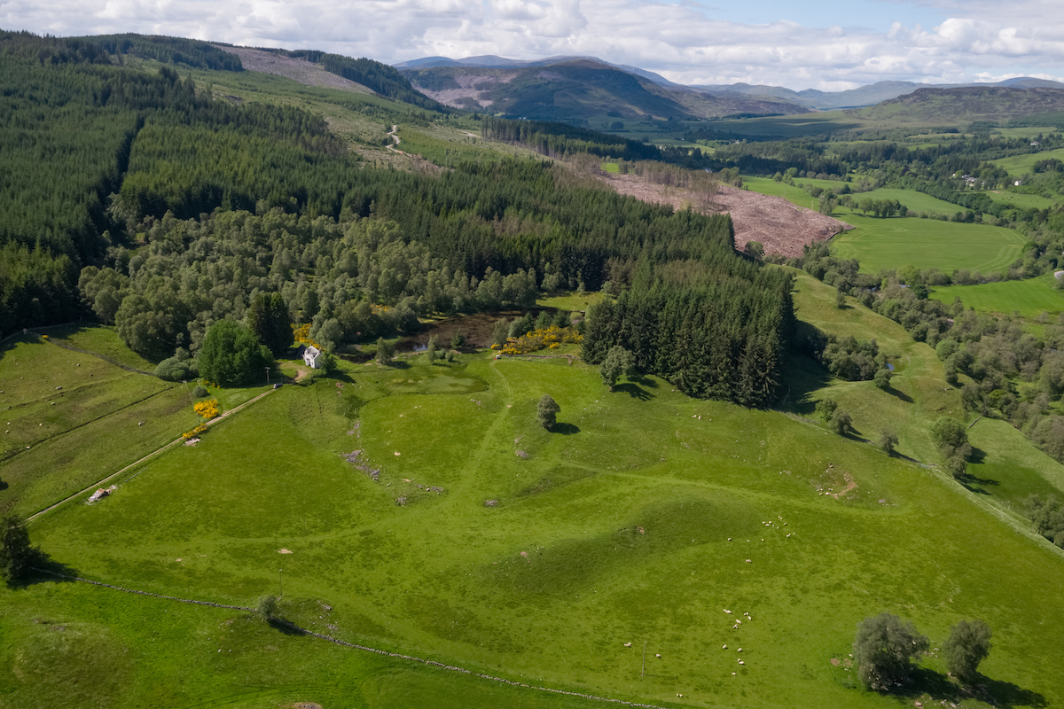 For the first time in a century, woodland is being given the chance to flourish across Wester Tullochcurran Farm in Perthshire. The owners are committed to ‘letting nature lead’ by removing all sheep grazing from the land.  
scotlandbigpicture.com/nrn-partners/w…

#NorthwoodsRewildingNetwork