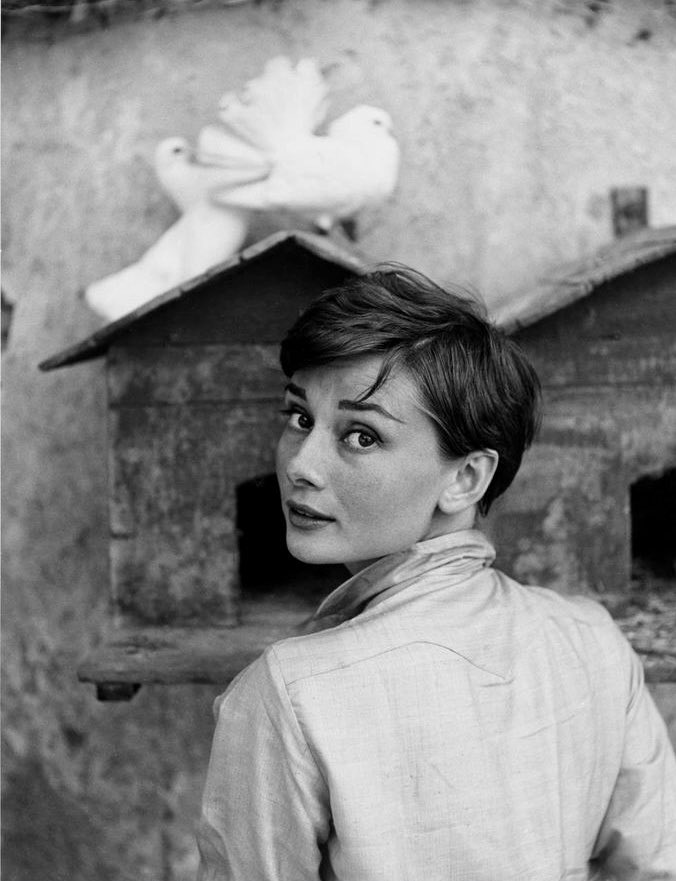 hepburnfiles's tweet photo. audrey hepburn photographed by philippe halsman in italy, july 1955 https://t.co/hAAh1JE6az