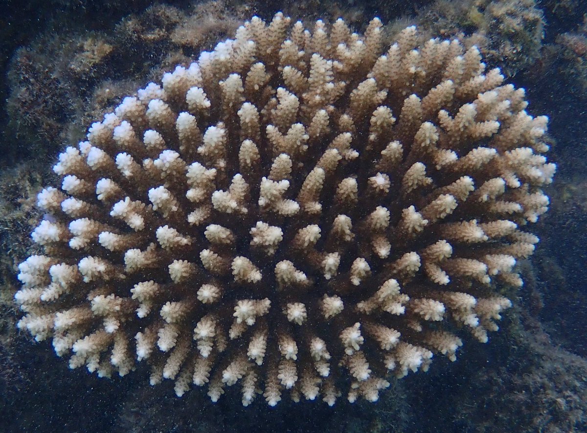 Rachael Bay tweet media