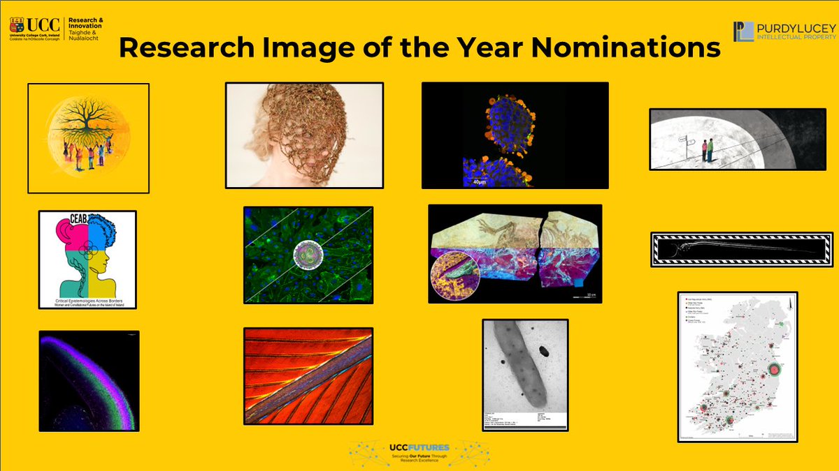 This year we received a high standard of nominations for our Research Image of the Year. This selection is a representation of research through the medium of photography, art or graphical design across the University. #UCCResearchAwards