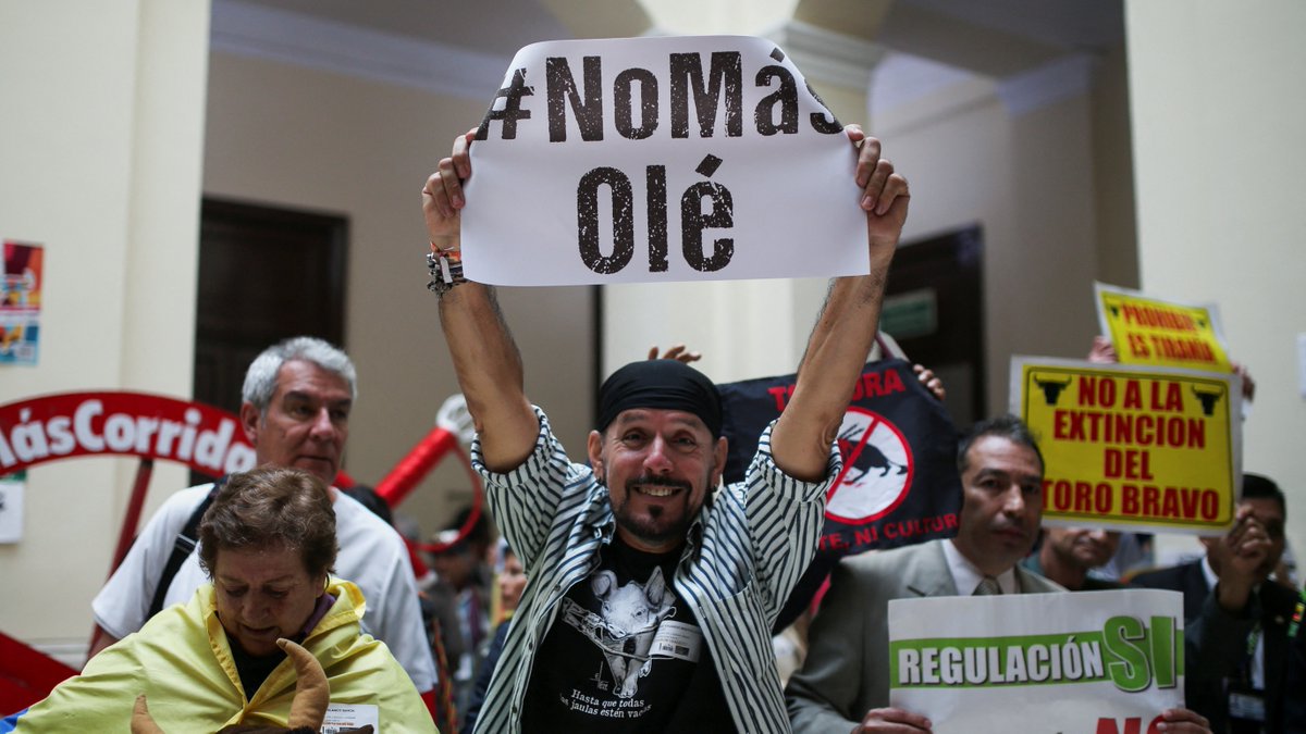'#NoMásOlé': Colòmbia prohibeix les corrides de toros a partir del 2027 ccma.cat/324/nomasole-c…