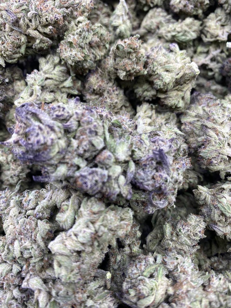 Blueberry Muffin | Licensed Exotic AAA | Exotic Dep Farm
t.me/yslpacksoffici…

#topshelf #exotics #bhfyp #berner #gushers #growyourown #dabs #cali #smoke #stoners #weedlife #highsociety #exotic #highlife #terpenes