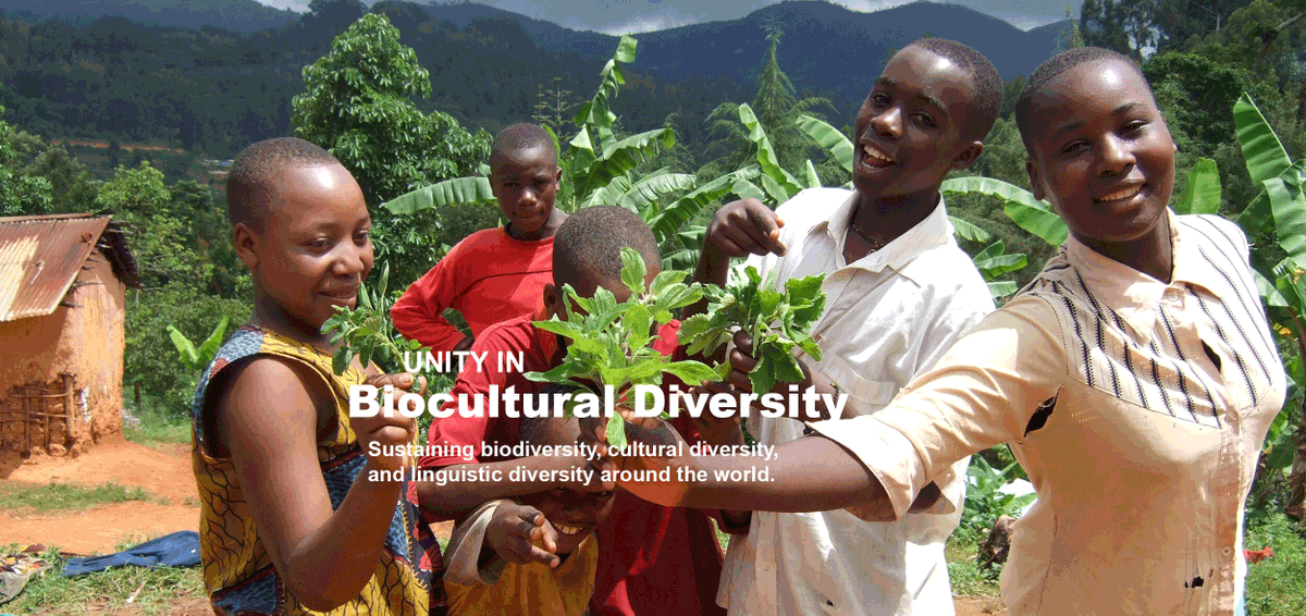 davidmhecht's tweet photo. Stories from around the 🌏reveal the myriad ways that communities are fighting for, connecting with, &amp; restoring their #territoriesoflife. Individuals who have been displaced from their homelands are finding  ways to connect to their ancestors’ territories &amp; cultural heritage🤝 https://t.co/aMvrzqoKKL