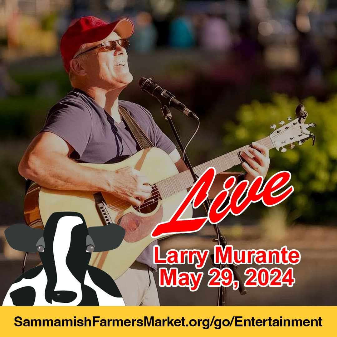 Today we welcome a #SammamishFarmersMarket favorite to our stage, contemporary musician @LarryMurante. See our entertainment schedule sponsored by @MooreBrosMusic sammamishfarmersmarket.org/go/entertainme… #SammamishLife #LiveMusic #FarmersMarket