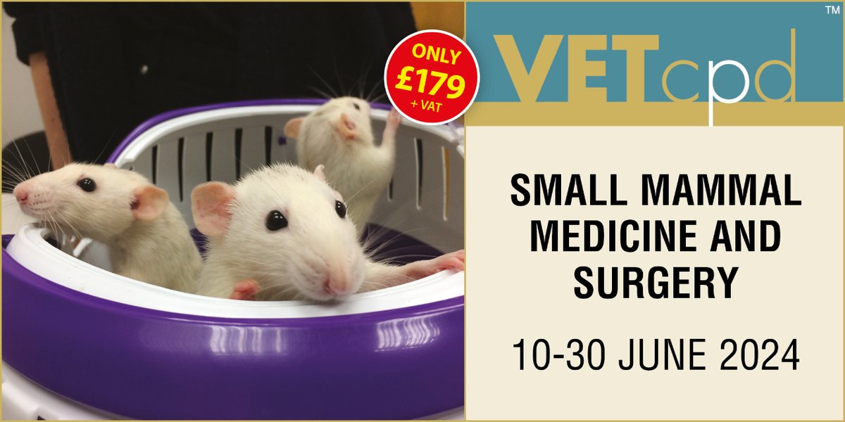 Small Mammal Medicine/Surgery

In this course, common medical and surgical presentations seen in guinea pigs, chinchillas, rats and hamsters will be discussed.

vetcpd.co.uk/product/small-…