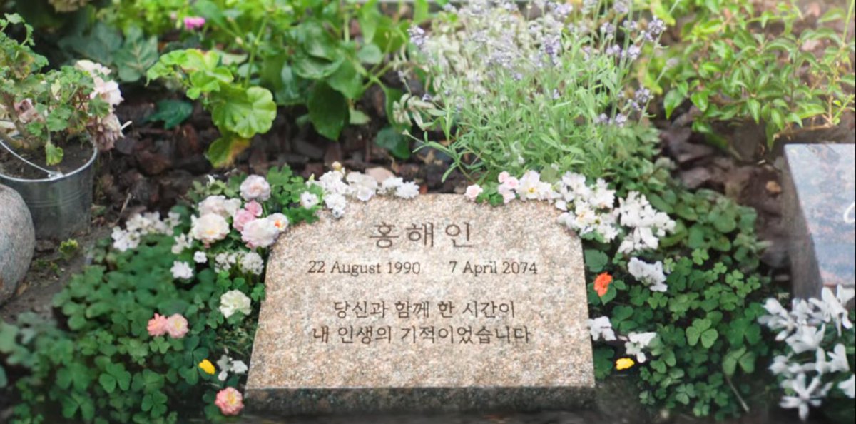 just realized that haein's tombstone is almost surrounded by four leaf clovers 🥹